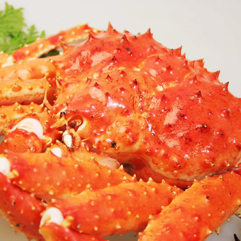 北海道産本たらば蟹姿　紅白縁起モノの姿！（希少１杯で-3.3kg前後
