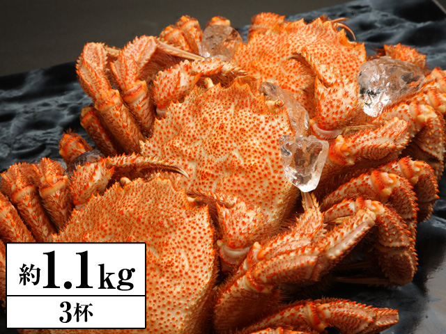 北海道浜茹で毛蟹姿約 １.１kg（３杯）【販売元：かに本舗】